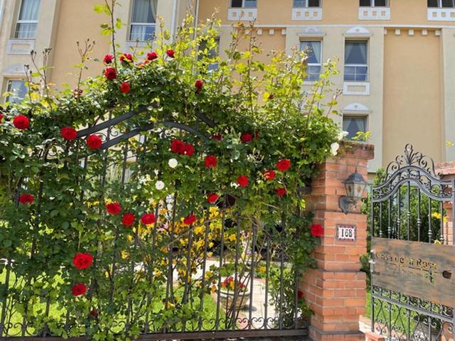 Hotel Casa De La Rosa Timisoara Exterior foto